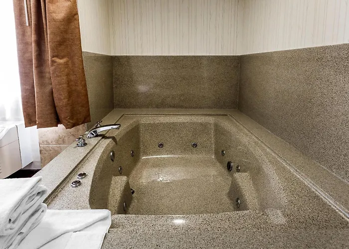 Quality Inn & Suites Los Angeles Airport - Lax