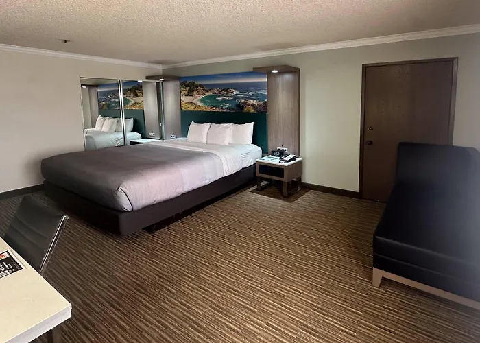 Quality Inn & Suites Los Angeles Airport - Lax