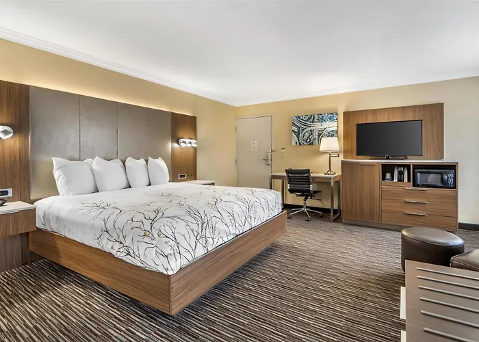 Best Western Airpark Hotel - Los Angeles Lax Airport